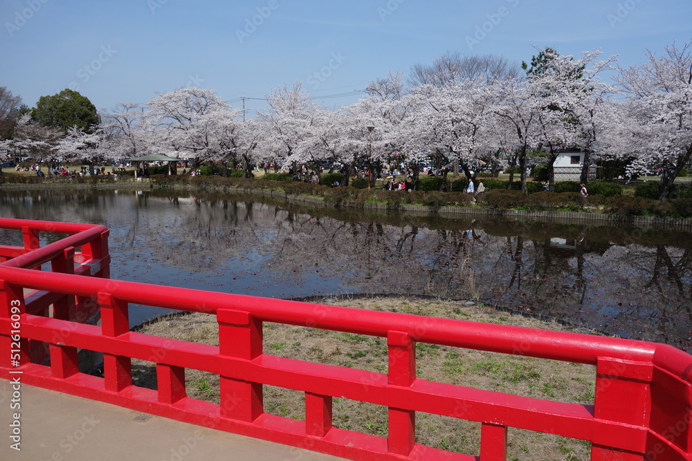岩槻城 水掘 八ツ橋 埼玉県 さいたま市 岩槻城 水掘 八ツ橋 埼玉県 さいたま市