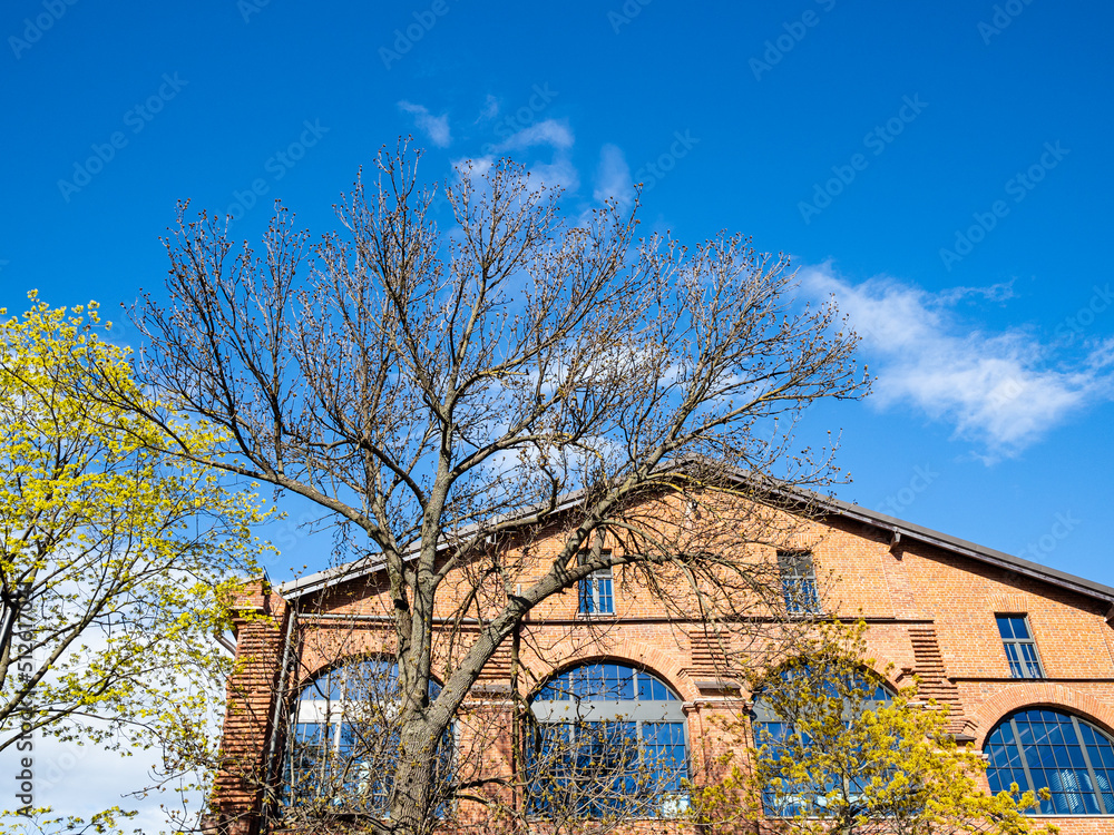 blue sky over brick building and blossoming trees blue sky over brick building and blossoming trees