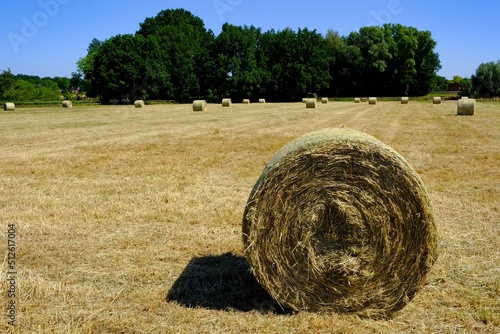 Strohballen auf Stoppelfeld 