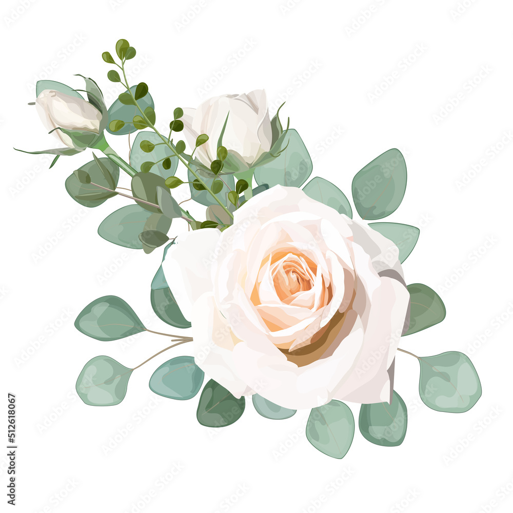 Fototapeta premium A beautiful Rose flower is isolated on white background. Vector watercolor.