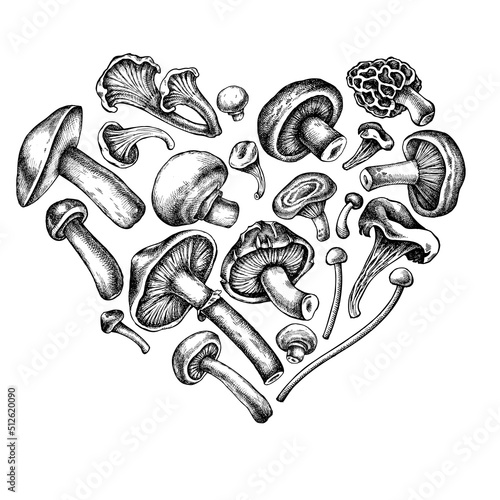 Heart design with black and white oyster mushroom, champignon, honey agaric, etc.