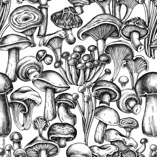 Seamless pattern with black and white oyster mushroom, champignon, honey agaric, etc.