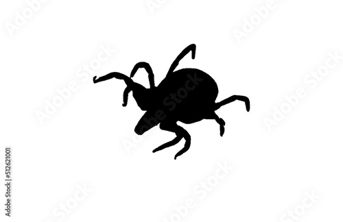 Εκτύπωση καμβά tick isolated on white background