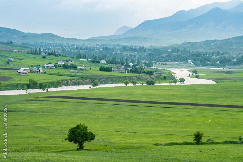 Green fields, grazing domestic animals, slopes of the Tien Shan mountains, Kyrgyzstan