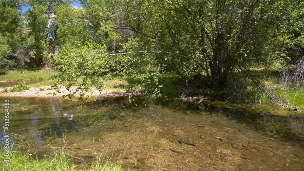 Moving over Hobble Creek gliding over the river through the tree branches crossing over the water from one bank to the other in the Utah mountains. Moving over Hobble Creek gliding over the river through the tree branches crossing over the water from one bank to the other in the Utah mountains.