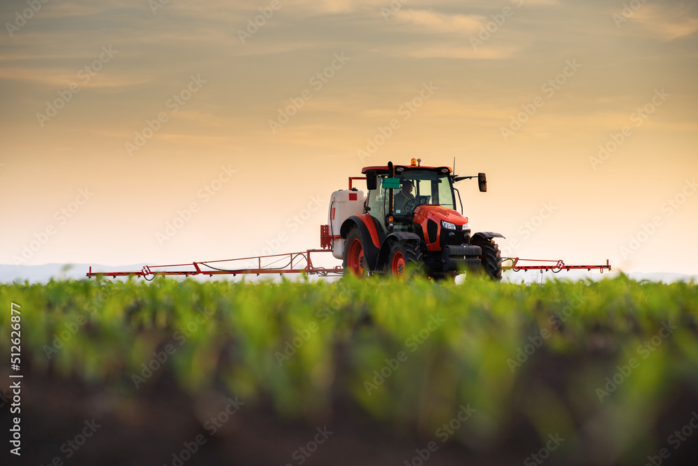 Tractor spraying corn field in sunset Tractor spraying corn field in sunset