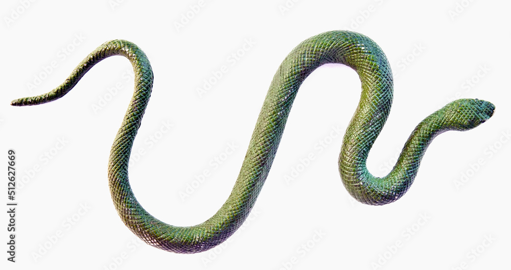 Fake rubber green snake. Isolated. Fake rubber green snake. Isolated.