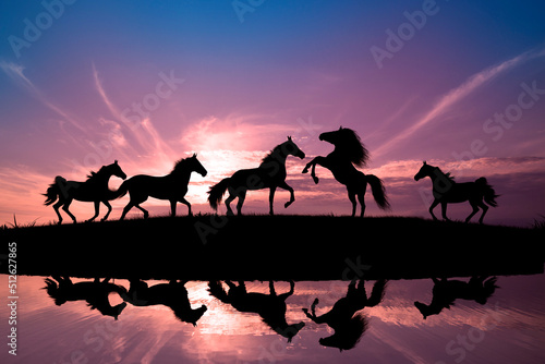 Horses running during sunset with water reflection.