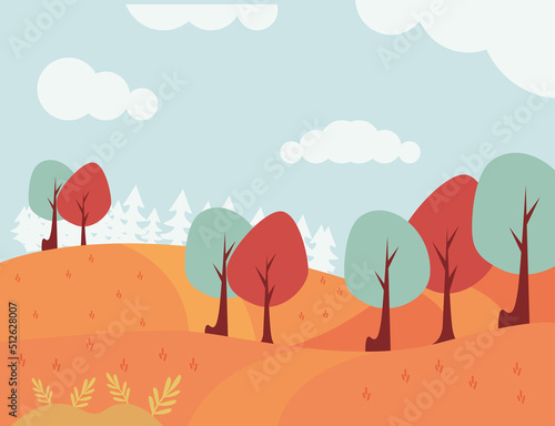 autumn seasonal forest landscape