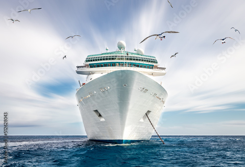 Fotografie, Obraz Cruise ship in the blue ocean with seagull