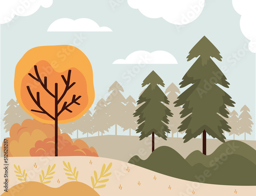 autumn season forest landscape