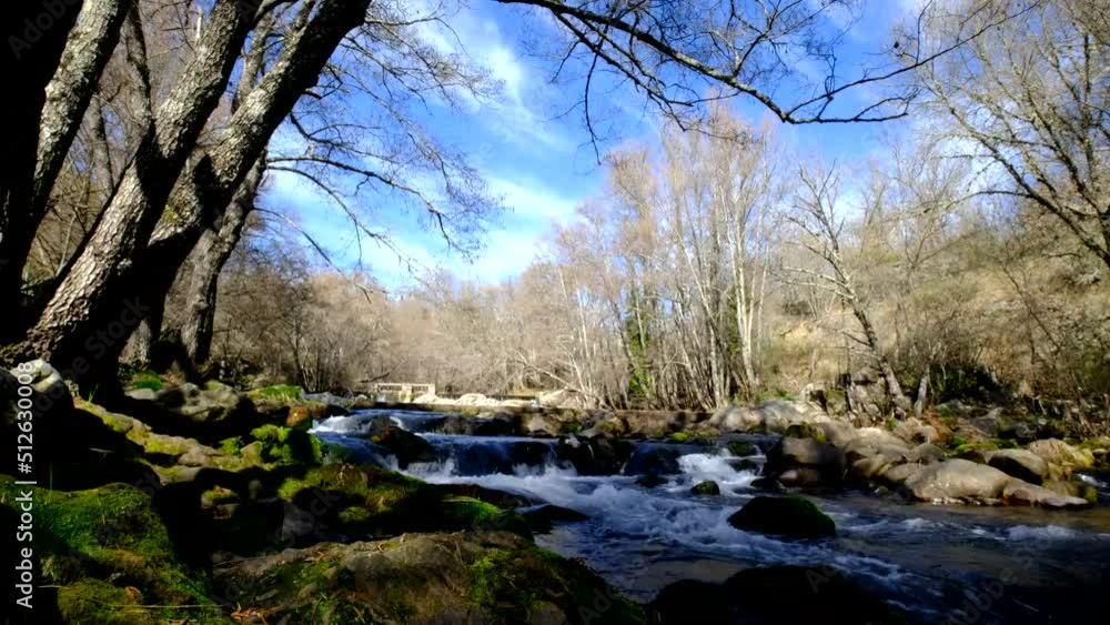 Mountain river flowing in rainforest. Endless meditative video, stream in the forest. Creek flow in deep woods among stones. Cascades of waterfall, greenery and trees. Seamless loop Mountain river flowing in rainforest. Endless meditative video, stream in the forest. Creek flow in deep woods among stones. Cascades of waterfall, greenery and trees. Seamless loop