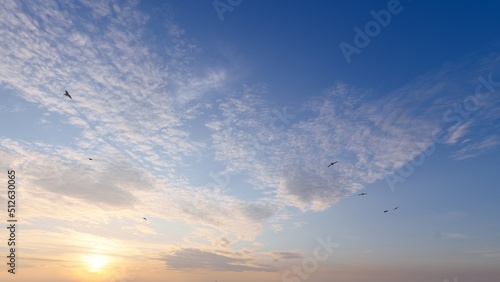 7680x4320 Pixel. Sunset sky background with tiny clouds. 