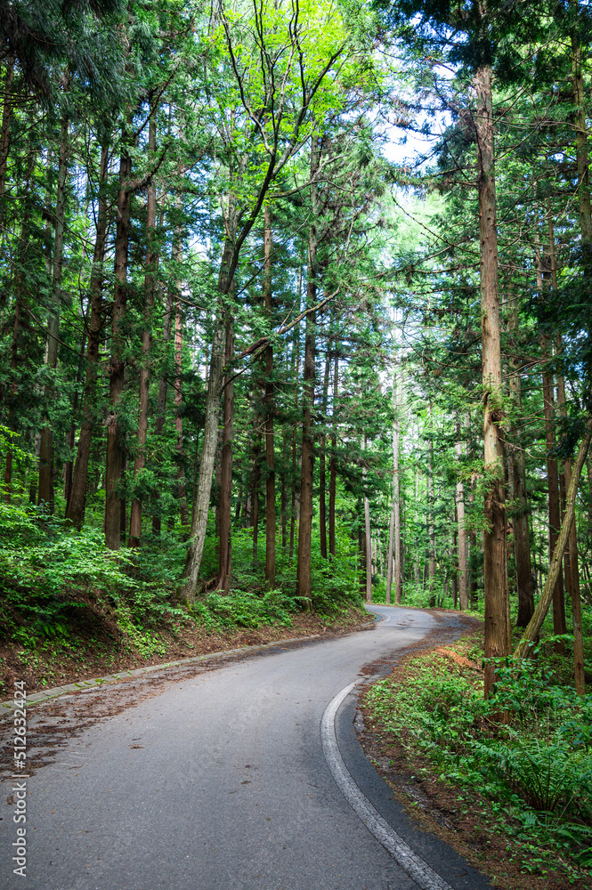 Fototapeta premium 高原に向かう山道 大峰高原