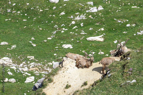 Schweiz in Graubünden Thalkirch photo