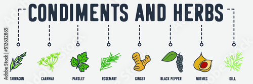 condiments and herbs banner web icon. tarragon, caraway, parsley, rosemary, ginger, black pepper, nutmeg, dill vector illustration concept.