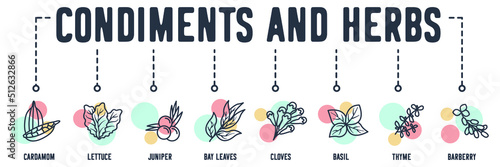condiments and herbs banner web icon. cardamom, lettuce, juniper, bay leaves, cloves, basil, thyme, barberry vector illustration concept.