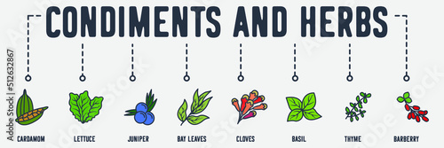 condiments and herbs banner web icon. cardamom, lettuce, juniper, bay leaves, cloves, basil, thyme, barberry vector illustration concept.