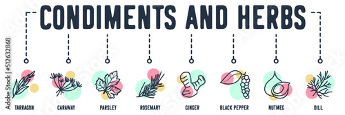 condiments and herbs banner web icon. tarragon, caraway, parsley, rosemary, ginger, black pepper, nutmeg, dill vector illustration concept.