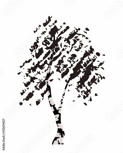 Vector illustration of black silhouette birch tree isolated on white background. Grunge textured brush decoration. Doodle hand drawn sketch design. Forest landscape element. Art for print. 