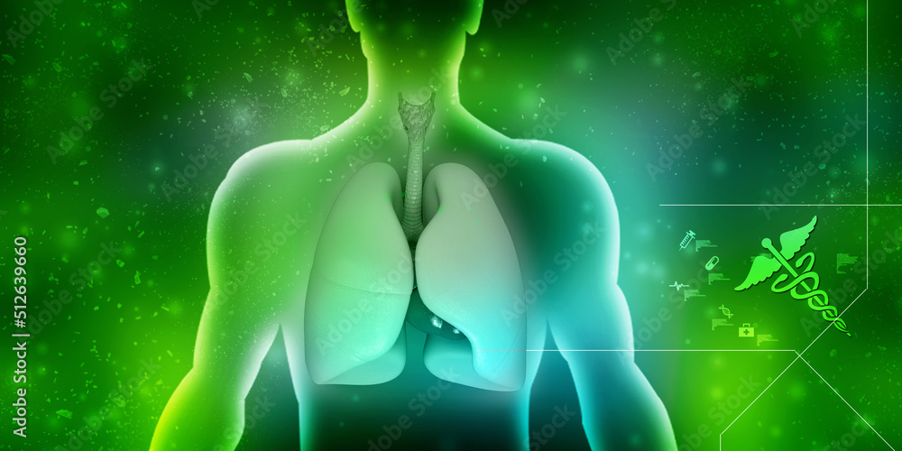 3d illustration Healthy Human Lungs
3d illustration Healthy Human Lungs