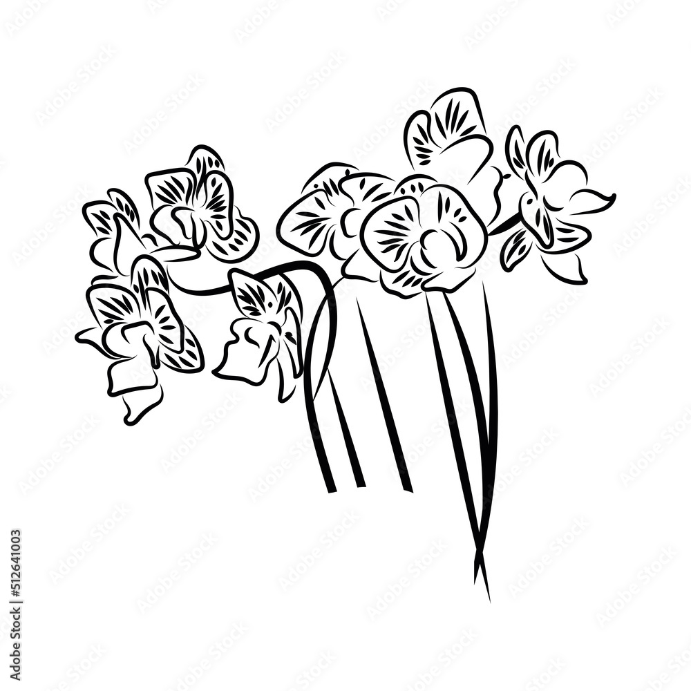 Isolated sketch of a group of flowers Vector Isolated sketch of a group of flowers Vector