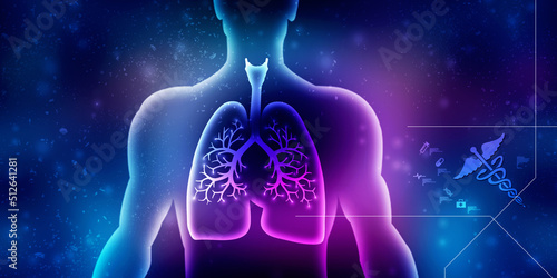 2d illustration Healthy Human Lungs 
 photo