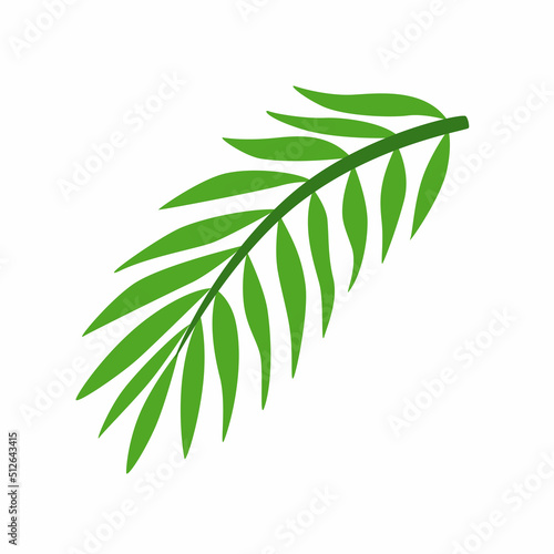 Fototapeta Naklejka Na Ścianę i Meble -  Tropical palm leaf. Exotic plant. Vector illustration isolated on white background.