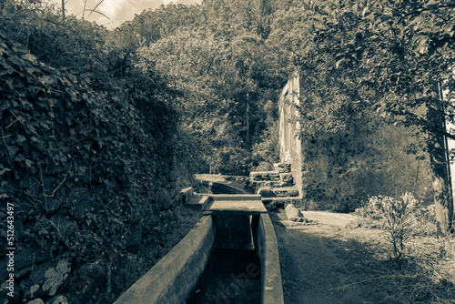 Levada ilha da Madeira