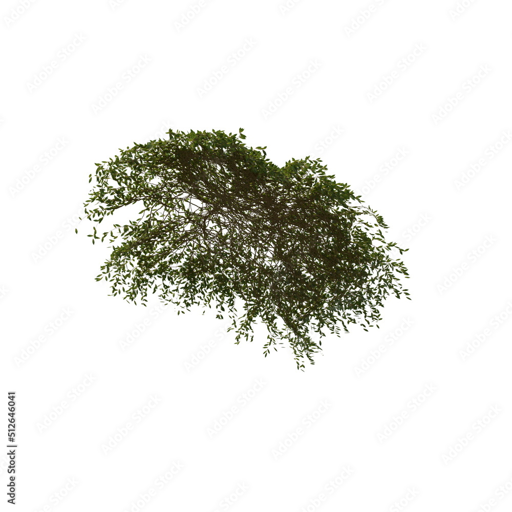 Naklejka premium 3D illustration of a realistic Ivy plant