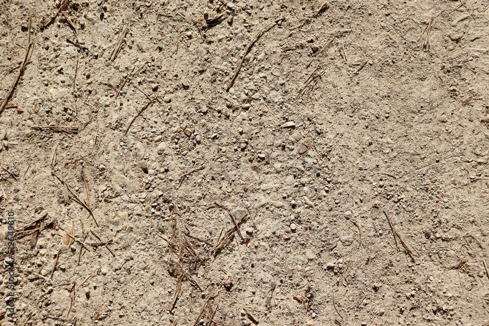 A close view of the hard dirt ground surface. A close view of the hard dirt ground surface.