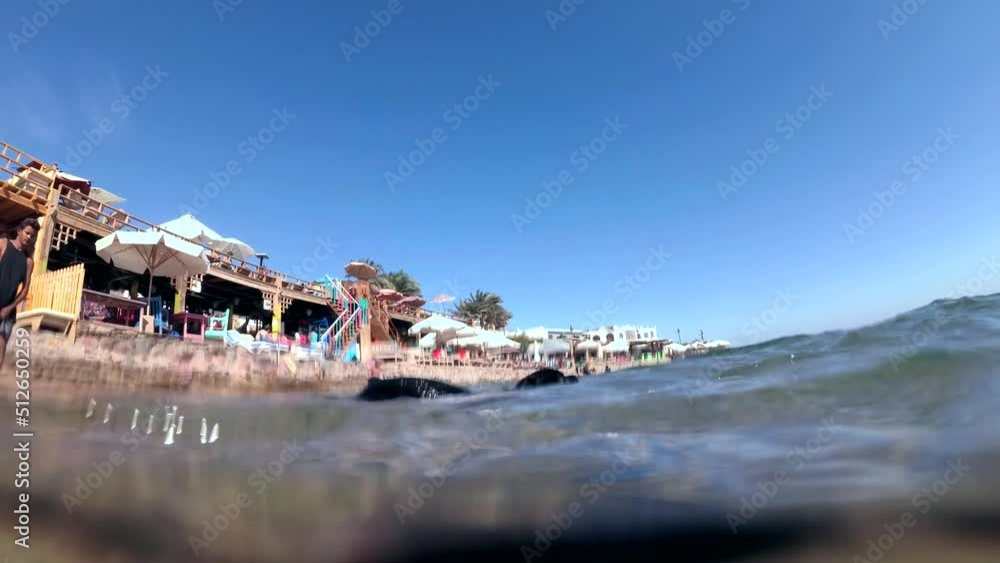 Black dog swim on surface of water and dives for stone to the seabed. Underwater shot, 4K-60fps. Red sea, Dahab, Egypt Black dog swim on surface of water and dives for stone to the seabed. Underwater shot, 4K-60fps. Red sea, Dahab, Egypt