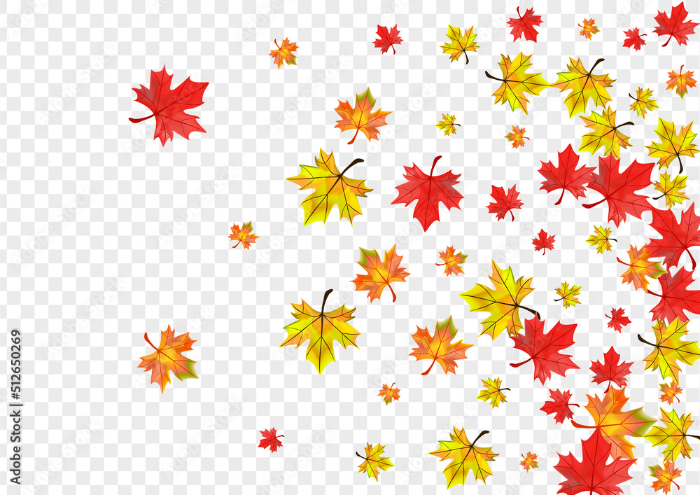 Obraz premium Brown Leaves Background Transparent Vector. Foliage Forest Template. Autumnal Tree Floral. Collection Plant Illustration.