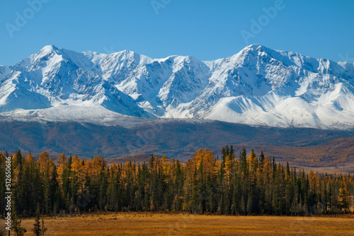 Russia. The South of Western Siberia. Sunny autumn day in the Altai mountains. Late autumn at the North-Chuya mountain range in the heart of the Kurai steppe.