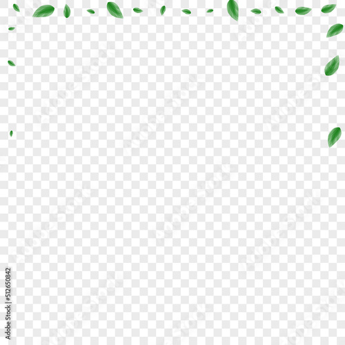 Green Sheet Background Transparent Vector. Foliage Growing Design. Delicate Frame. Light Green Copy Illustration. Leaves Modern.