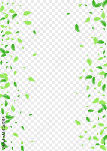 Greenish Greenery Background Transparent Vector. Plant Element Card. Vibrant Frame. Light Green Process Texture. Leaf Pure.
