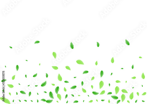Light Green Plant Background White Vector. Leaves Shape Illustration. Simple Design. Greenish Symbol Card. Foliage Summer.