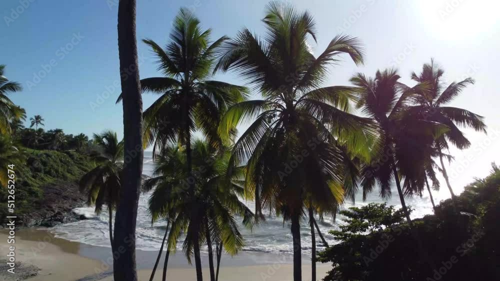 Amazing paradise beach with image coming from coconut palm trees Amazing paradise beach with image coming from coconut palm trees