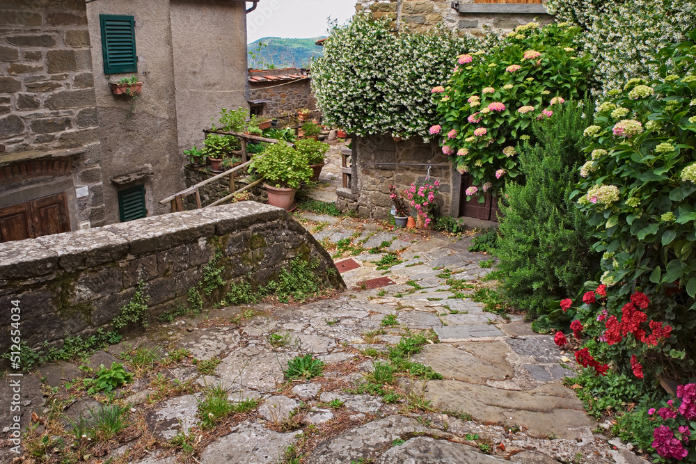 Trappola, Loro Ciuffenna, Arezzo, Tuscany, Italy: old alley with flowers and plants of the picturesque village in the Apennine mountains