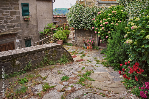 Trappola, Loro Ciuffenna, Arezzo, Tuscany, Italy: old alley with flowers and plants of the picturesque village in the Apennine mountains photo