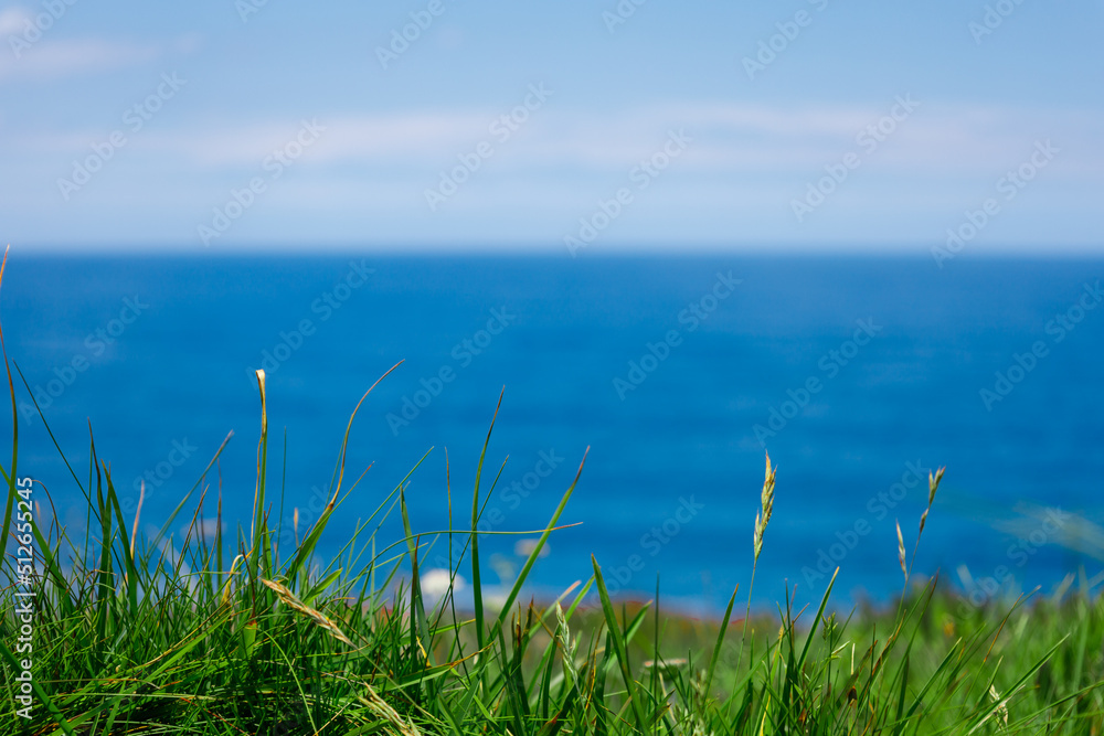 Background green lawn, sea, sky.