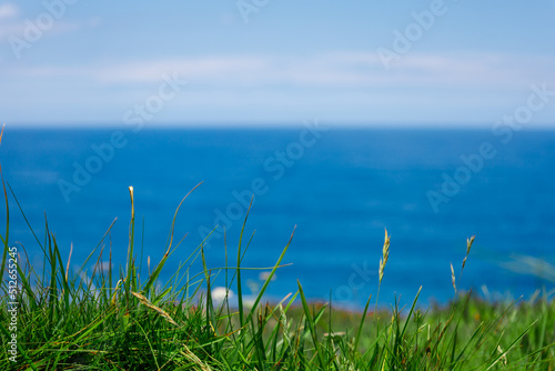 Fototapeta Naklejka Na Ścianę i Meble -  Background green lawn, sea, sky.