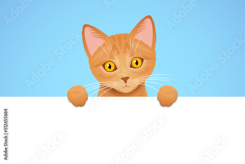 Funny cartoon cat is peeking out from behind white blank board