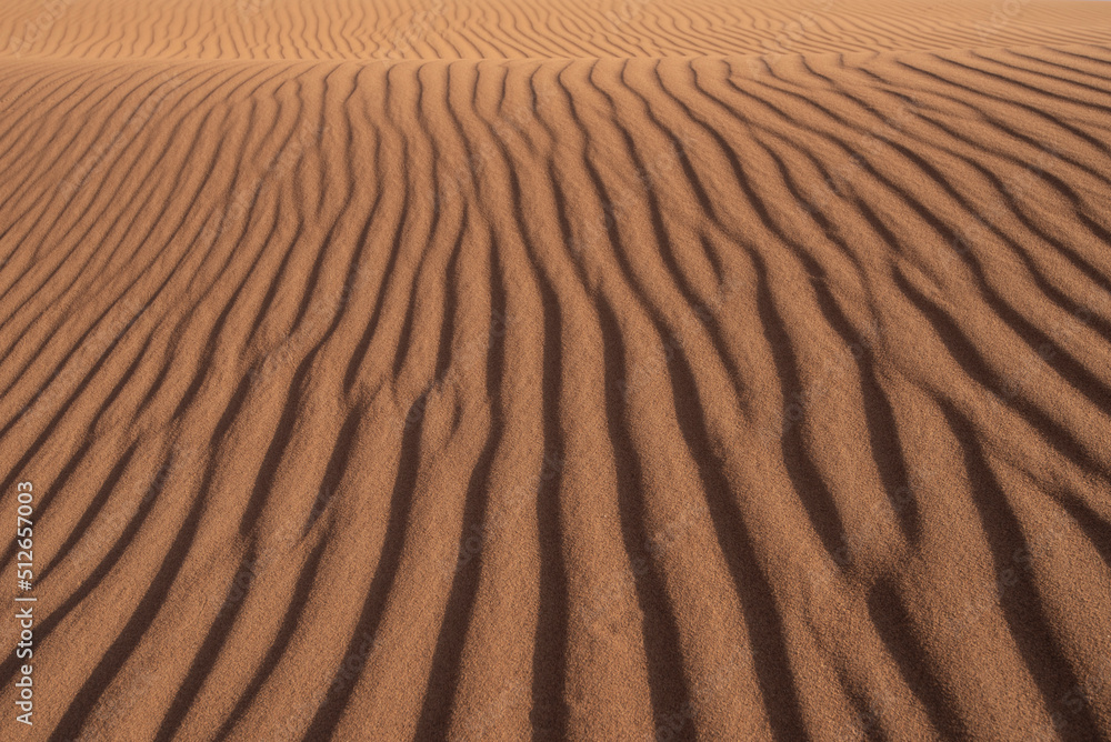 Dunas en el desierto Dunas en el desierto