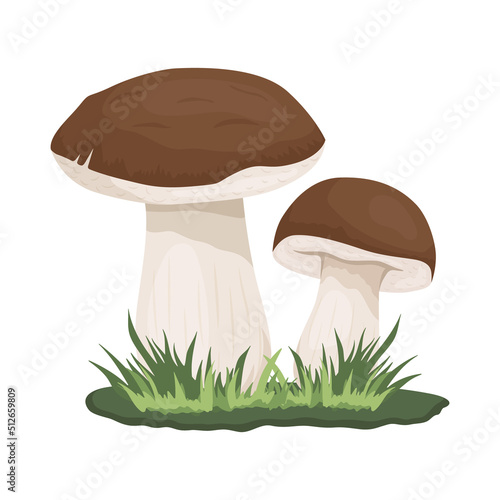 Vector Bolete Mushroom Isolated on White. Hand Drawn Cartoon Bolete, Porcini Mushrooms. Design Template, Clipart. Leccinum Scabrum, Penny Bun. Mushroom Couple