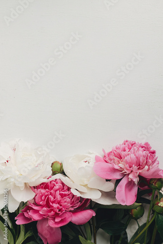 Beautiful peonies flat lay on rustic white wood  space for text. Stylish floral greeting card template. Fresh pink and white peony flowers border on wooden background