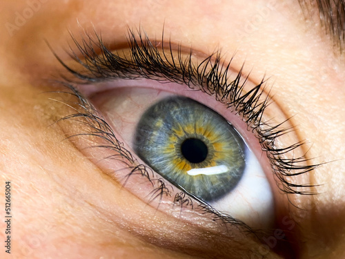 Macro image of the pupil of the eye. Eye close-up 