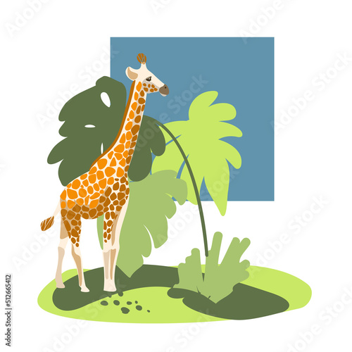 Zoo vector illustration. Giraffe on the background of wildlife.