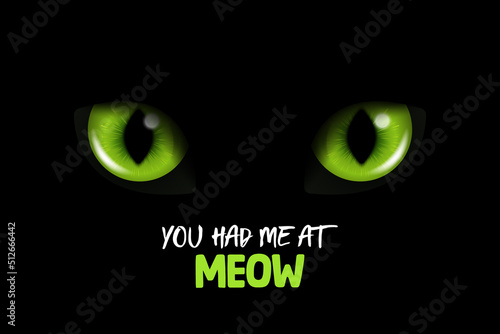You Had Me At Meow. Vector 3d Realistic Green Glowing Cats Eyes of a Black Cat. Cat Look in the Dark Black Background Closeup. Glowing Cat or Panther Eyes