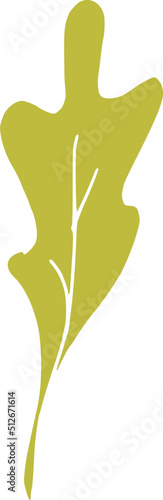 Light Green Lettuce Illustration